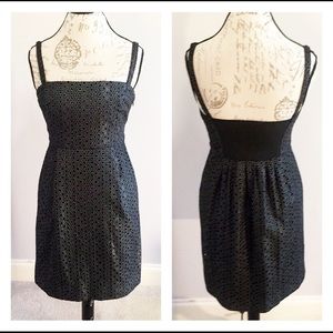 Cynthia Steffe Black/Silver Eyelet Dress 6
